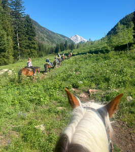 Maroon Bells Guide & Outfitters