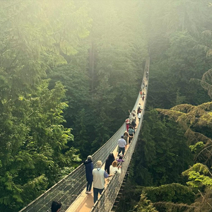Capilano Suspension Bridge Park:  4 Day Passes