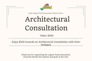 Architectural Consultation