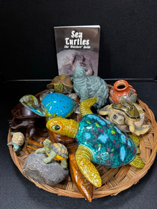 Turtle Collection
