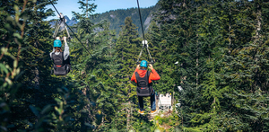 Mountain Zipline Tour + Mountain Admission for 4