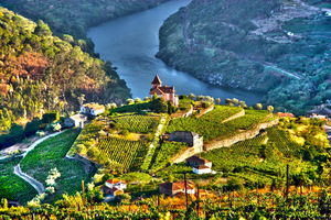 EXCLUSIVE PACKAGE: Colours of Porto