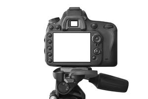 Flash Photo Session: 30 minutes