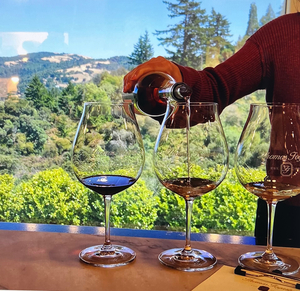 Uncork the Adventure: Fogarty Winery!