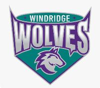 Windridge PTA Auction