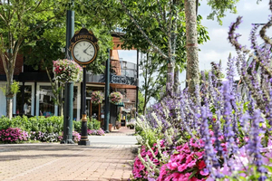 2 Night Stay in Fairhope, Alabama