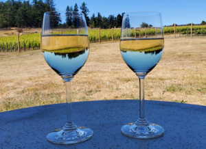 San Juan Vineyard Wine + Wine-Tasting