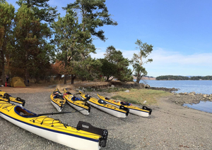 Crystal Seas Kayaking