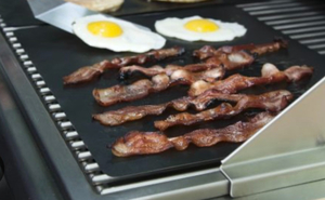 Put a Smile on a Rower’s Face - Sponsor a BBQ
