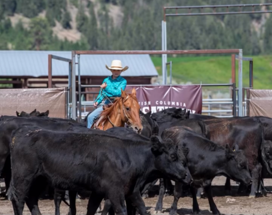 Cowboy School