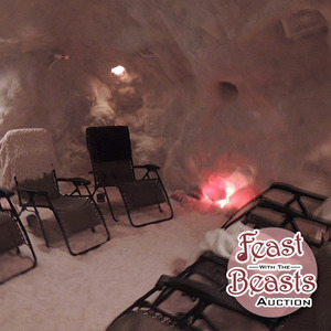 Salt Sanctuary - One Salt Therapy Session