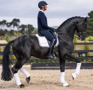 David Shoobridge online lesson