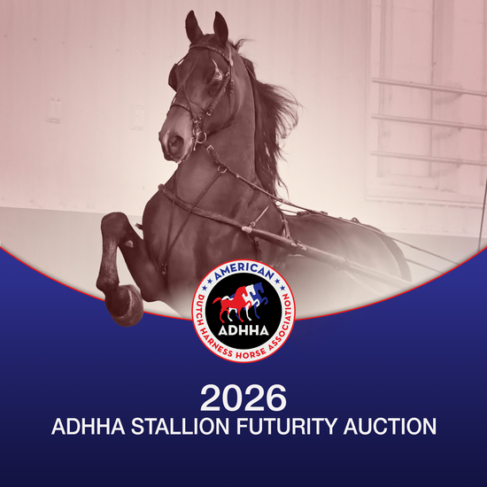 American Dutch Harness Horse Association