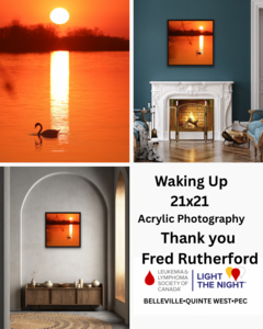 Fred Rutherford Framed Acrylic Photography