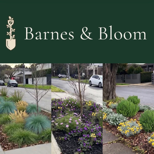 Barnes & Bloom Landscaping