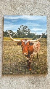 Longhorn on Canvas by Kelly Wade