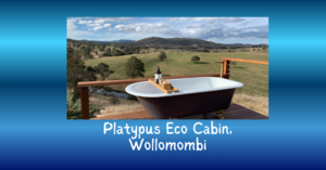 Platypus Eco Cabin