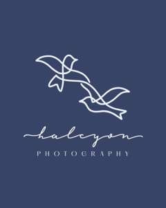 Lifestyle Photography Session