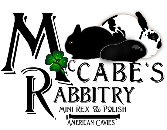 McCabe’s Rabbitry Fall 2026 Auction