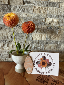 $150 Gift Certificate for Calabacita Señorita