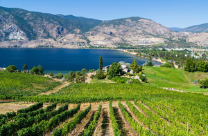 Two (2) Bottles of Okanagan Wine