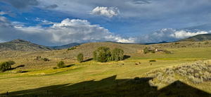 Bike / Hike, Cow Brush and Fish