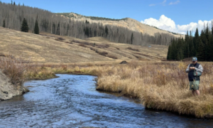 Half Day Guided Fly Fishing - Yampa Valley Anglers