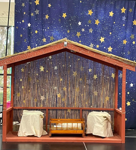 Front-row Seats at the Ollie's Christmas Concert