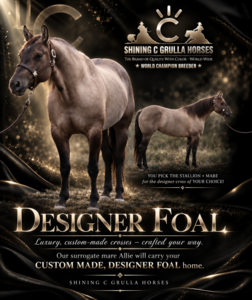 Allie *CARRYING YOUR DESIGNER FOAL*