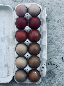 Dark and Bloomy Dozen