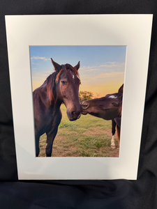 “A Little Kiss” — Amelia & Chuck