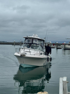 Boat on the Bay!