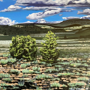 Hays Canyon Range in Wild Washoe County