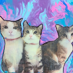 Sugar, Rosie, and Clawdia