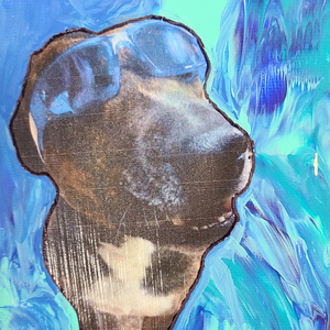 Jet