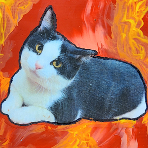 Ludahiss