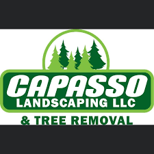 Capasso Landscaping and Tree Removal