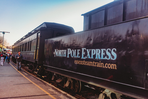 Essex Stream Train