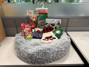 Medium Christmas plush bed: Santa Paws & Snuggles