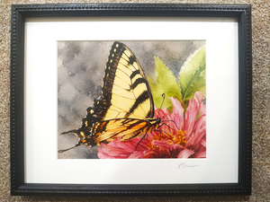 Eastern Tiger Swallowtail