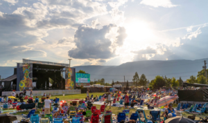 2 Adult Weekend Passes ROOTSandBLUES 2027