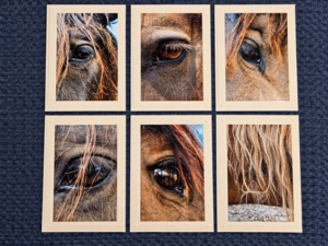 Notecards: The Soul Behind the Eyes