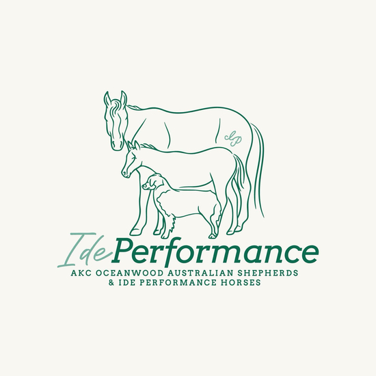 Ide Performance