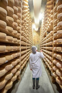 Jasper Hill Cheese Cave Tour and Tasting for 6