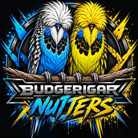 Bates & Mamic Budgerigar Auction