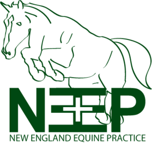 New England Equine Practice, P.C.
