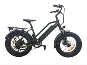 Fat BMX Cruiser Ebike