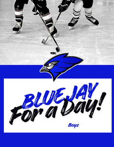 Blue Jay for a Day  - Boys