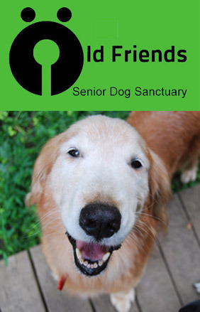 Old Friends Senior Dog Sanctuary