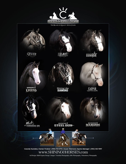 Shining C Grulla Horses
